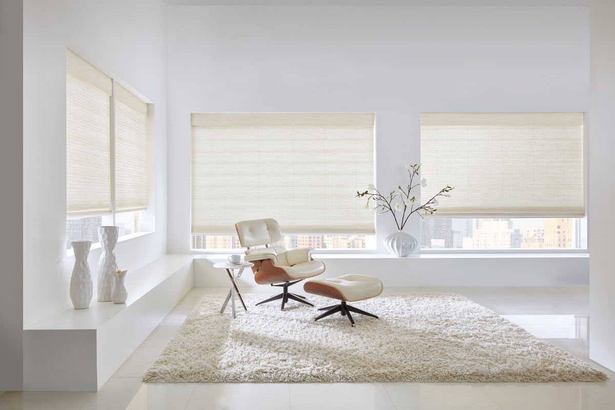 How To Pick The Best Window Shades For Your Apartment
